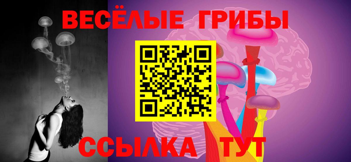 Псилоцибиновые грибы Psilocybine cubensis Ноябрьск